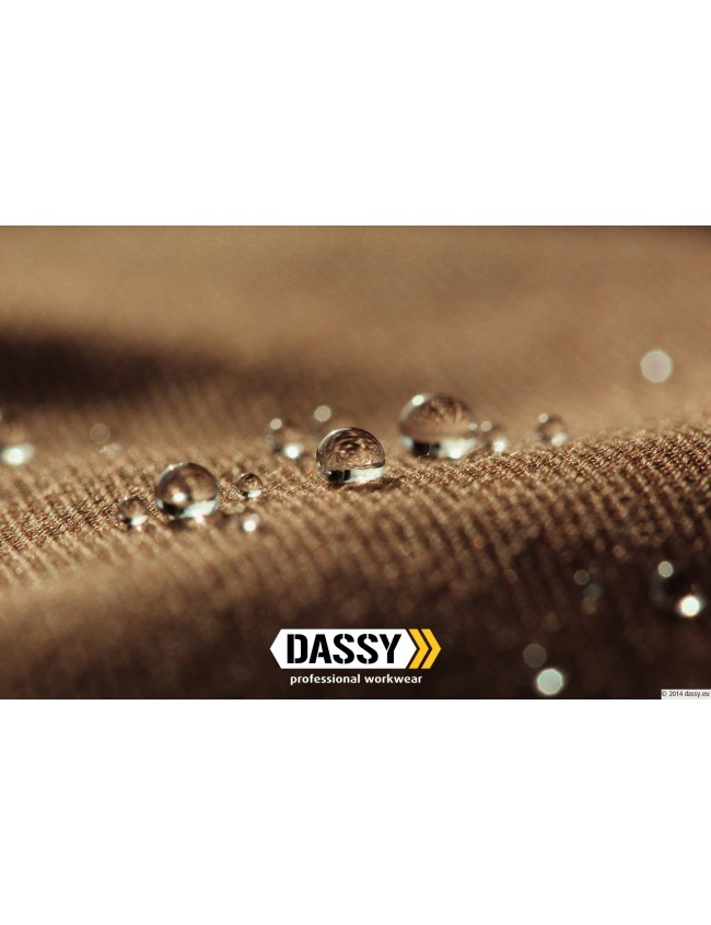 Работни панталони Dassy Voltic